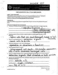 The Eukaryotic Cell Cycle And Cancer Answer Key