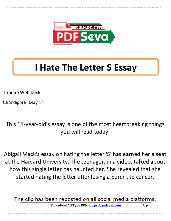 I Hate The Letter S Essay