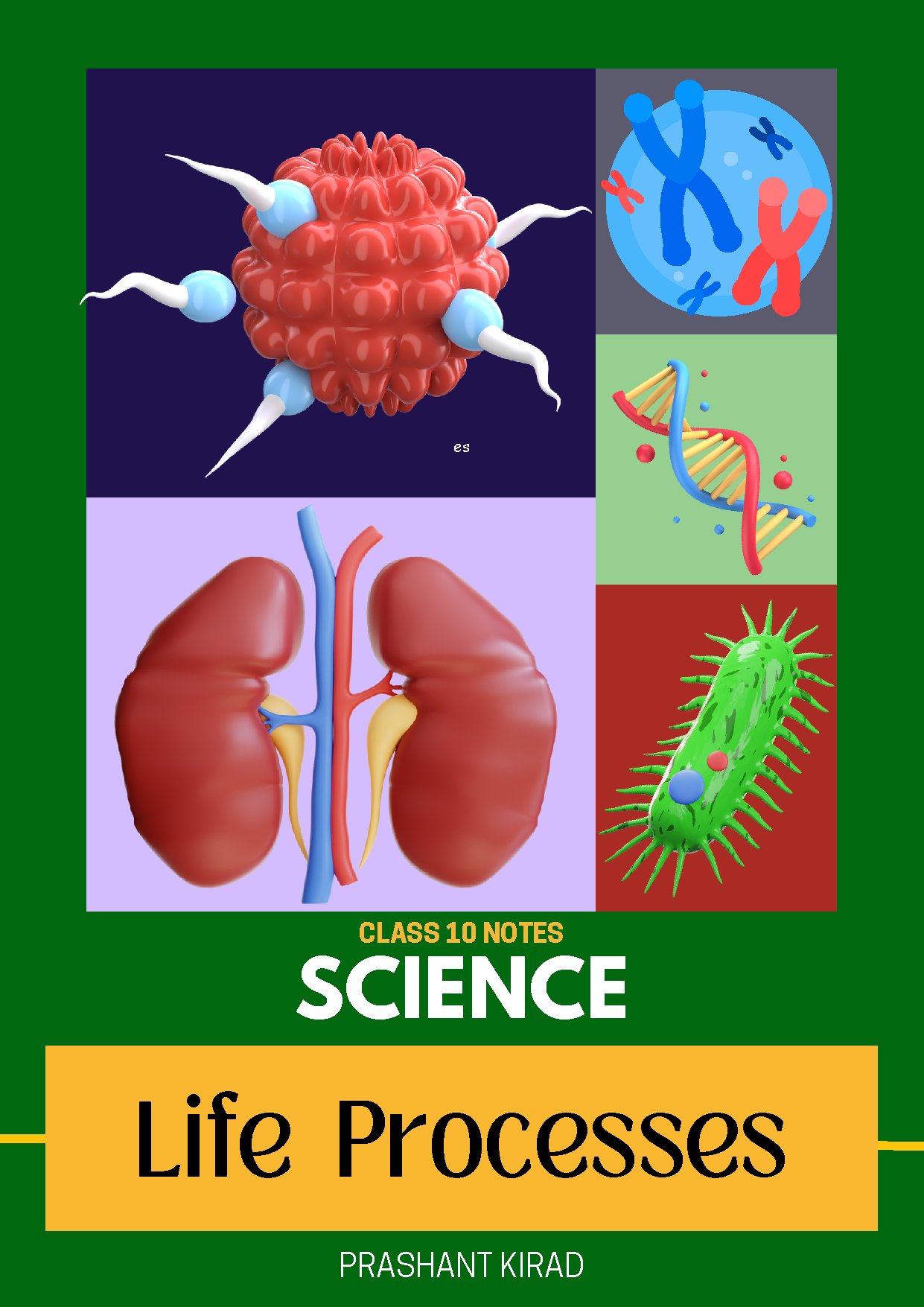 Life Processes by Prashant Kirad