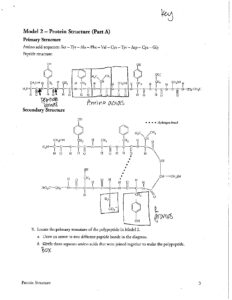 AP Biology Protein Structure Pogil Answer Key - Model 2 Part A