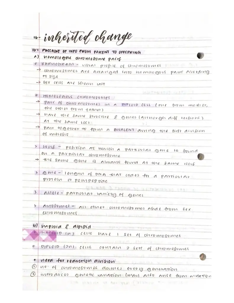 A Level Inheritance Study Guide for Biology Students