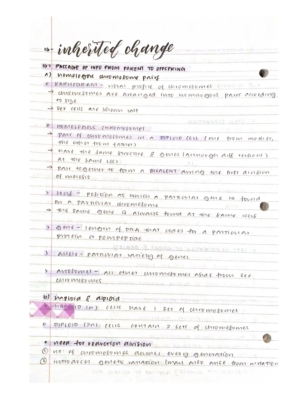 A Level Inheritance Study Guide for Biology Students