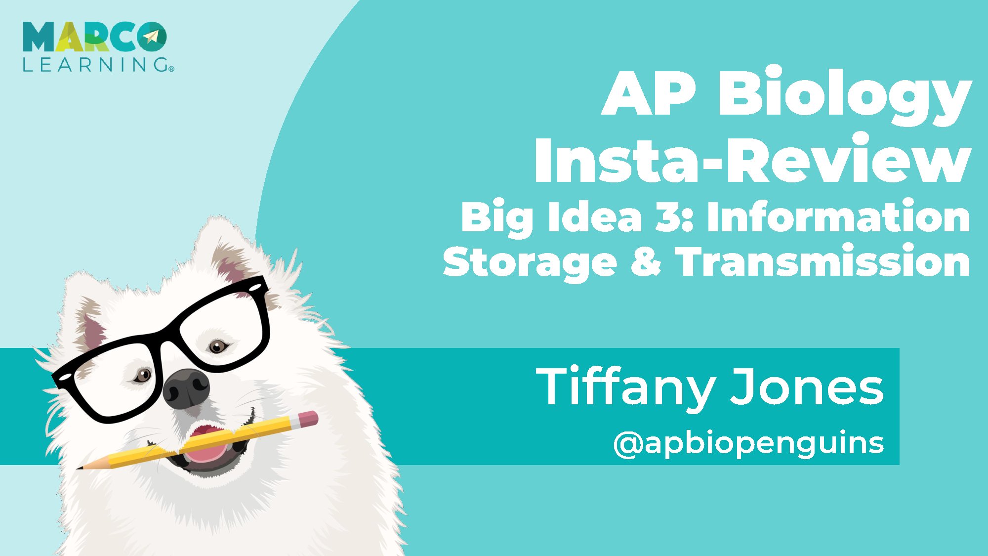 AP Biology Insta Review Big Idea 3 Information Storage