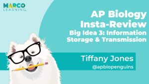 AP Biology Insta-Review Big Idea 3: Information Storage