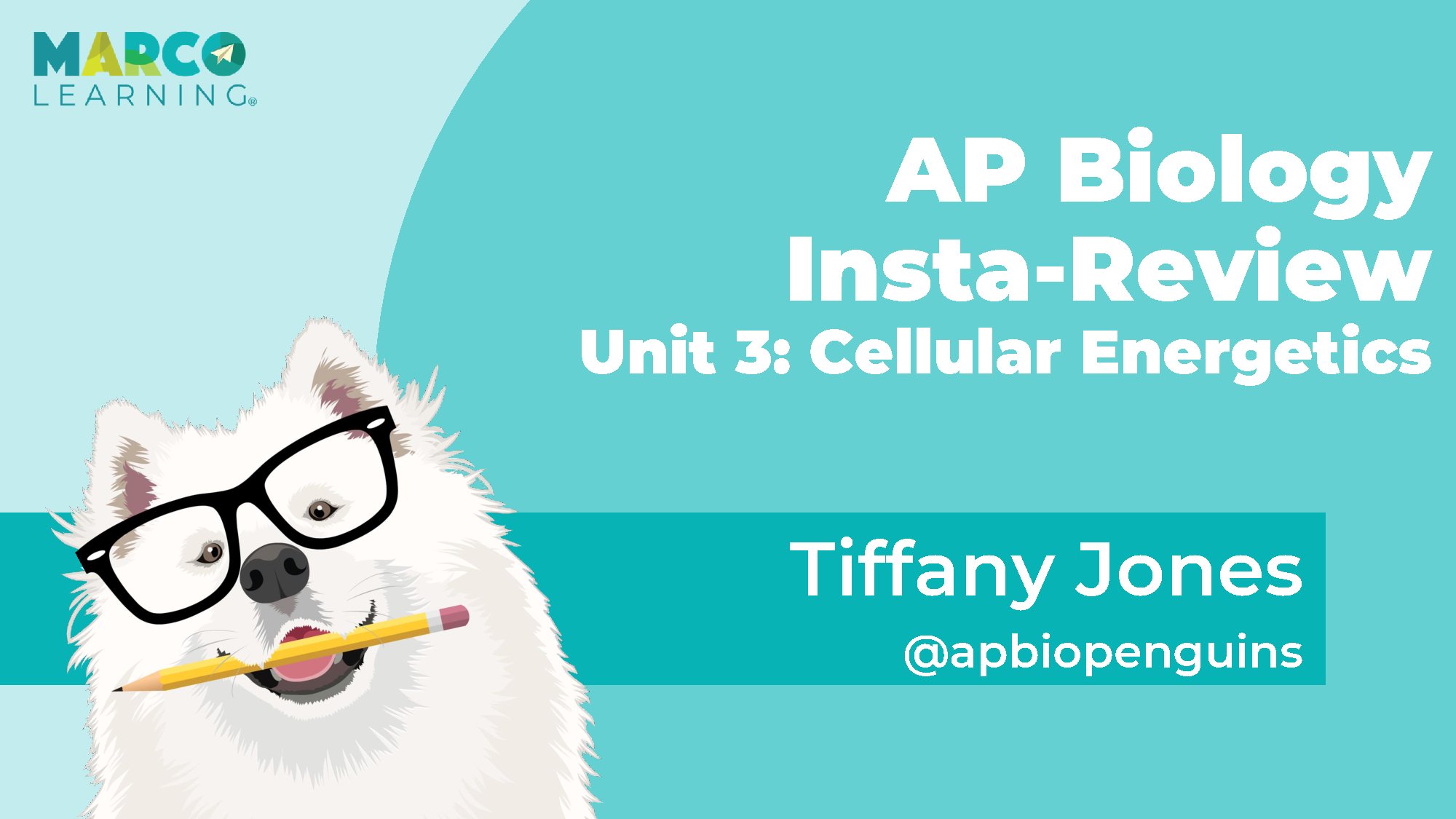AP Biology Insta Review Unit 3 Cellular Energetics