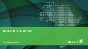 Basics of Reinsurance by Sindiswa Mabelwane
