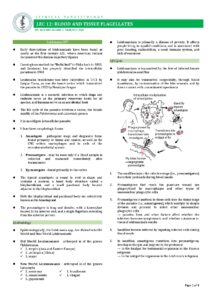 Blood and Tissue Flagellates Overview for Medtech Students