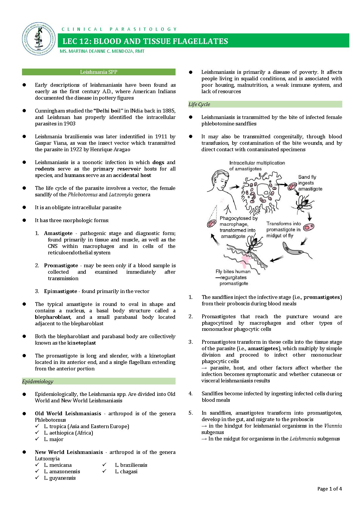 Blood and Tissue Flagellates Overview for Medtech Students