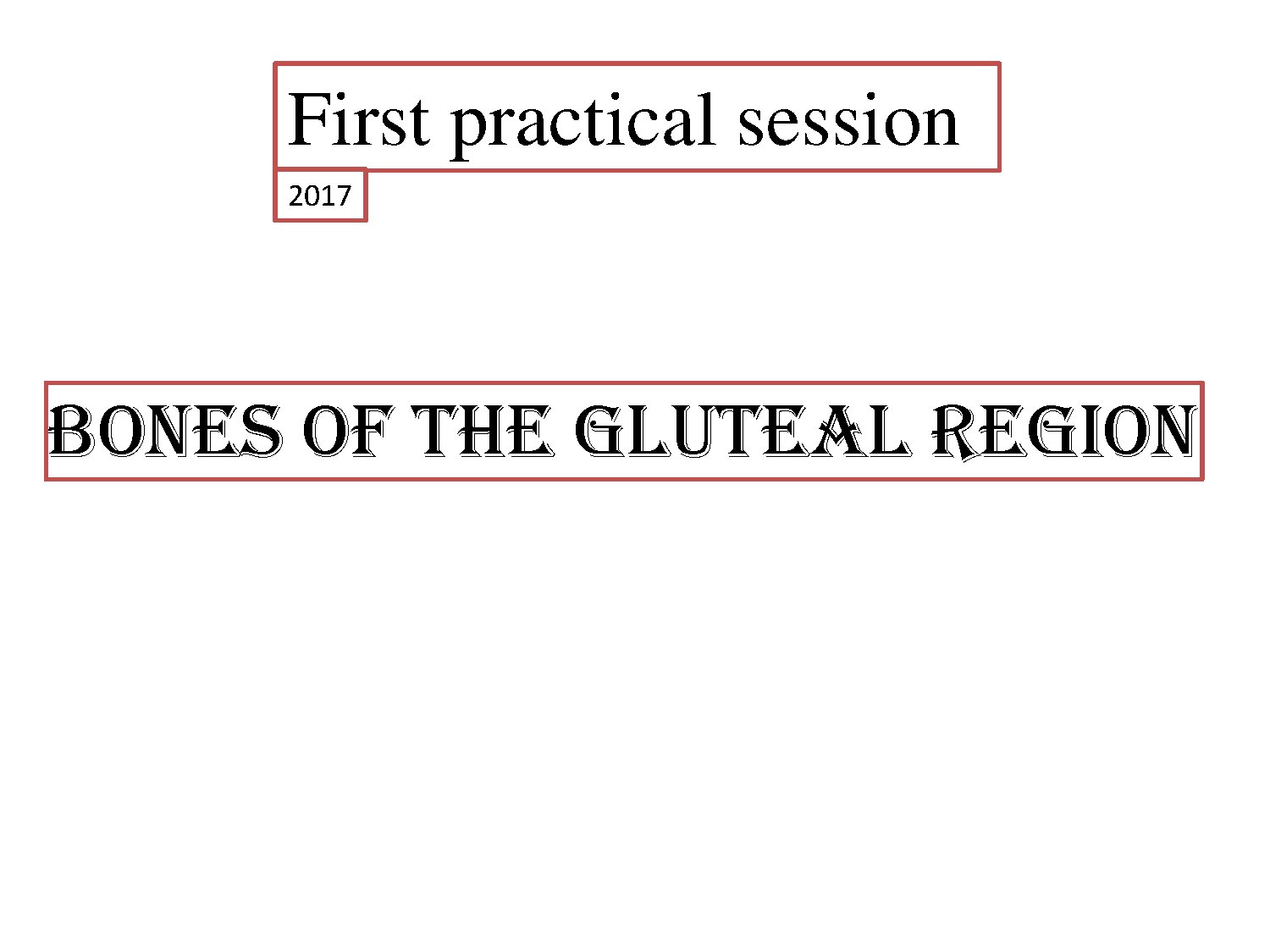 Bones of the Gluteal Region Practical Session 2017