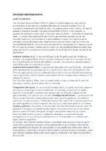 Características de la Sociedad Anónima Mixta