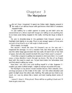 Chapter 3 of The Manipulator by [Author Name]