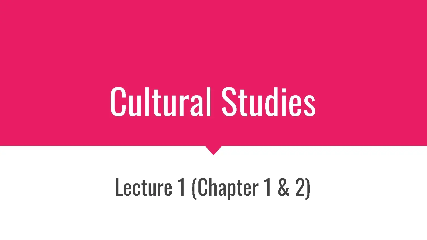 Cultural Studies Lecture Slides 1-12
