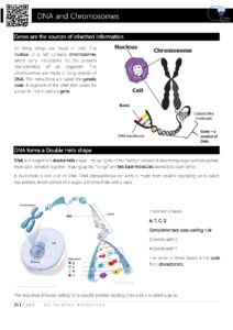 DNA and Chromosomes Year 10 Science Resources