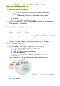 Energy and Respiration for A Level Biology Students