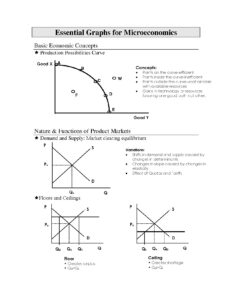Essential Graphs for Microeconomics Study Guide