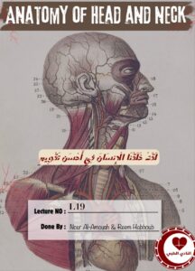 Head and Neck Anatomy Lecture 19 Larynx Notes