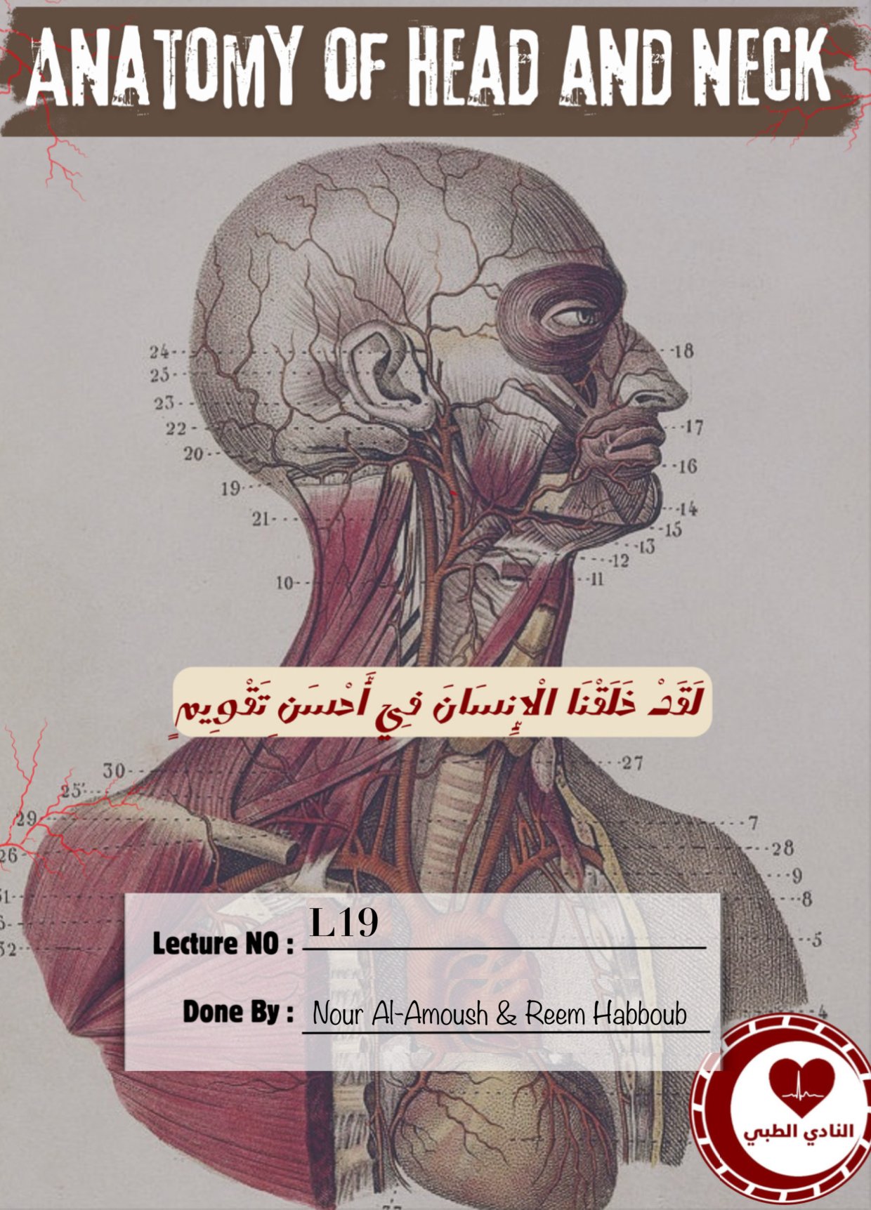 Head and Neck Anatomy Lecture 19 Larynx Notes