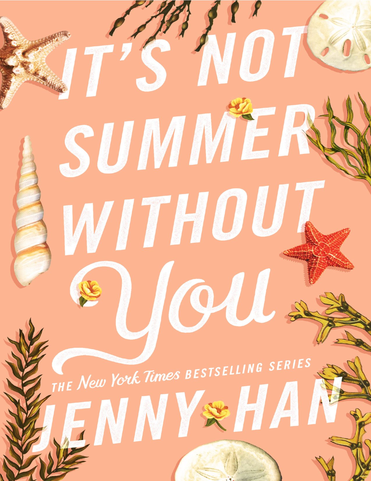 It’s Not Summer Without You by Jenny Han