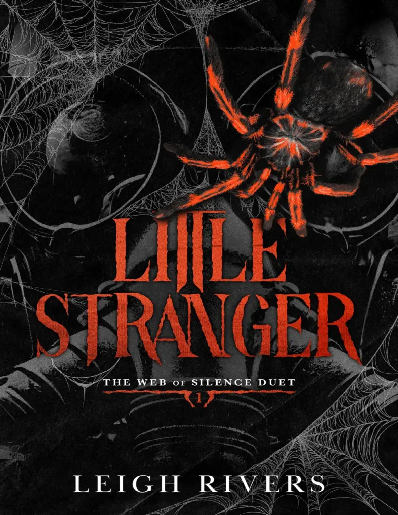 Little Stranger by Leigh Rivers