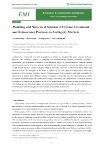 Modeling Optimal Investment and Reinsurance in Ambiguity Markets
