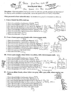 Monohybrid Crosses in Mice Genetics Answers