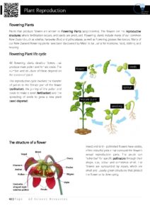 Plant Reproduction Science Year 9 GZ