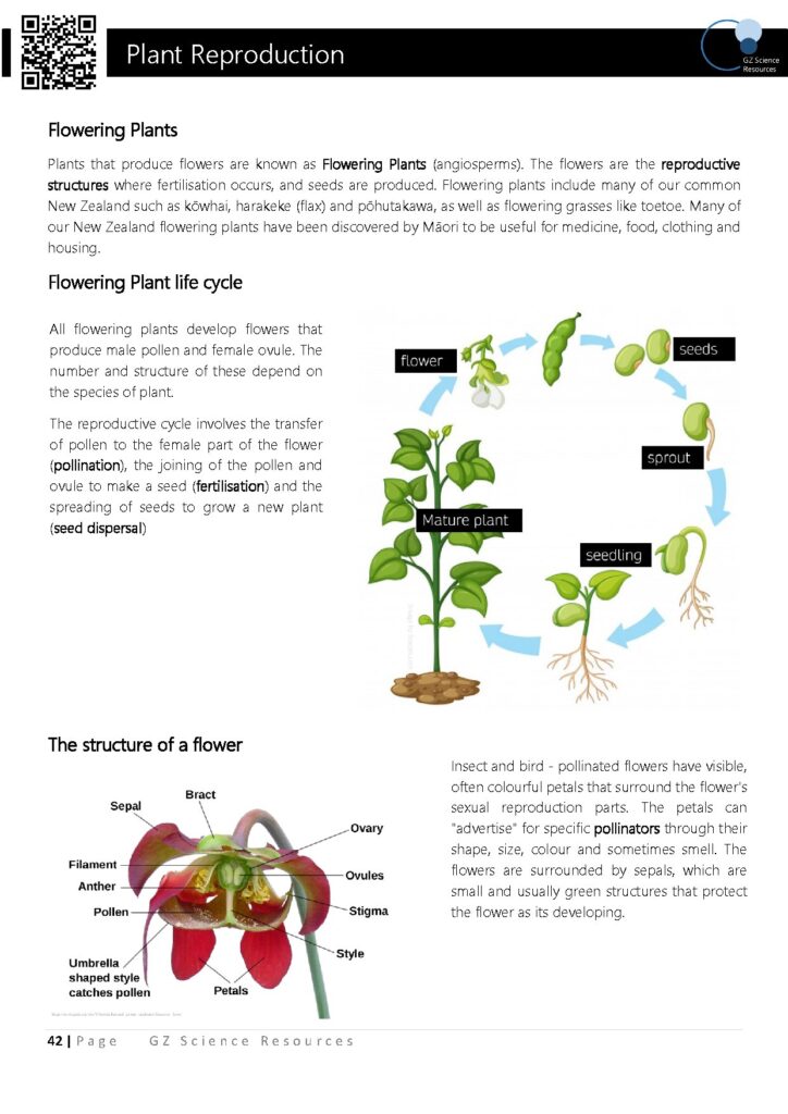 Plant Reproduction Science Year 9 GZ