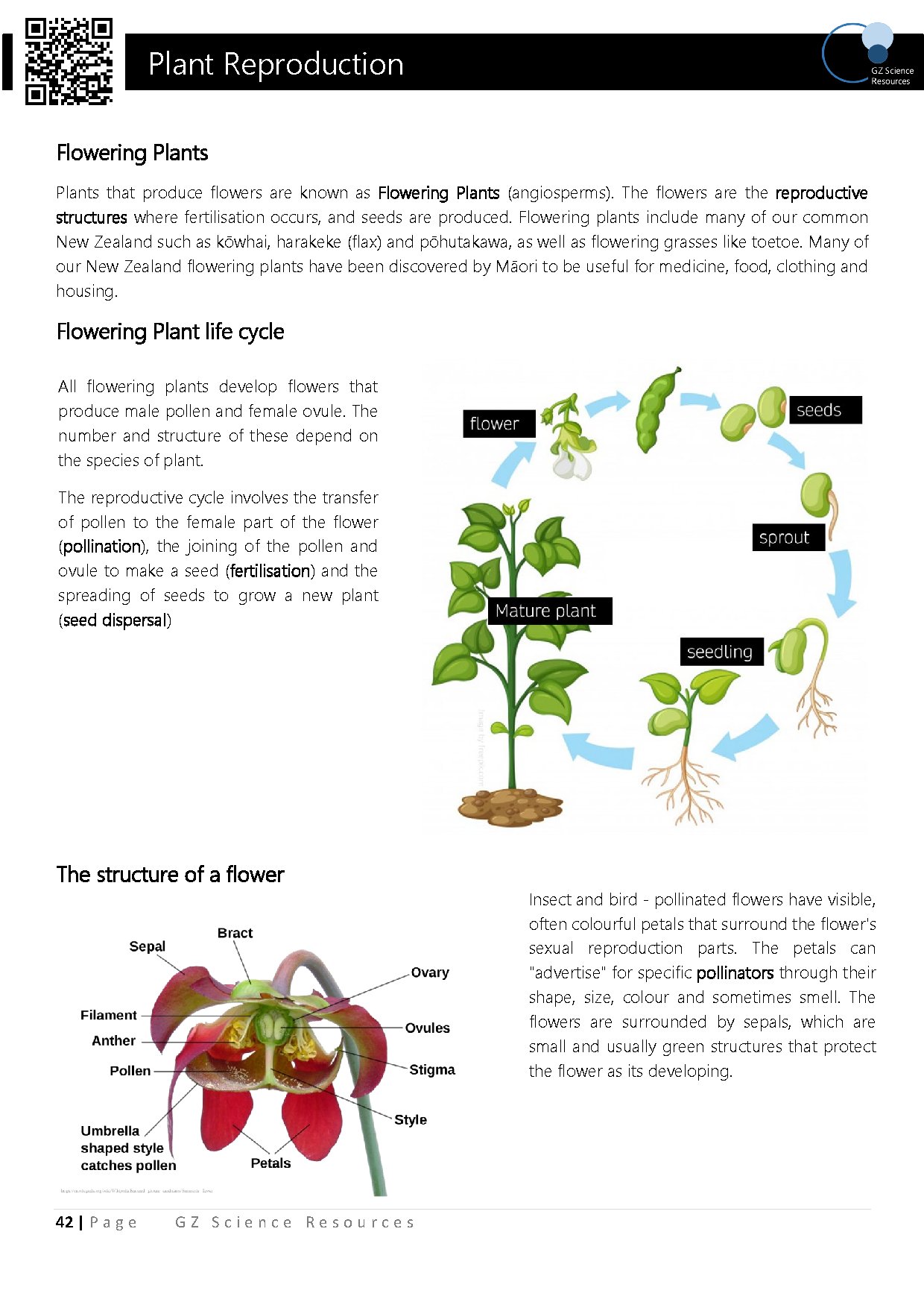 Plant Reproduction Science Year 9 GZ