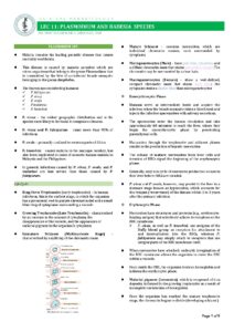 Plasmodium and Babesia Species Overview for Medtech Students