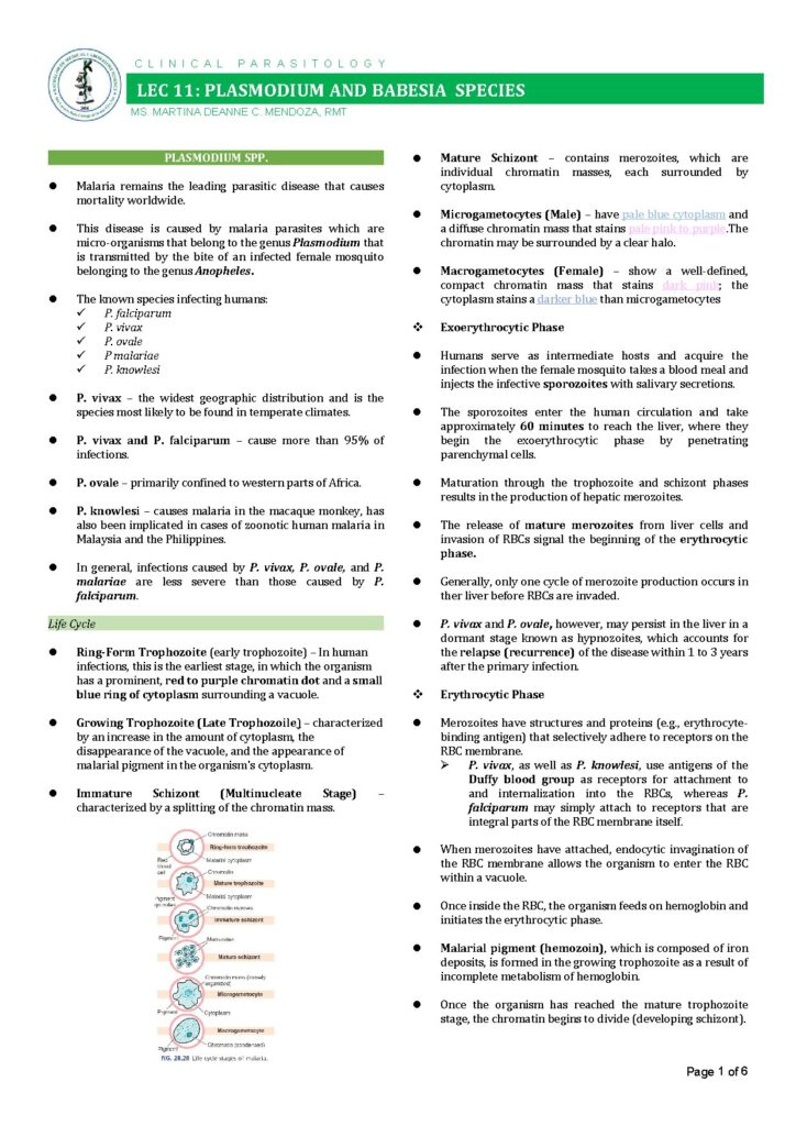 Plasmodium and Babesia Species Overview for Medtech Students