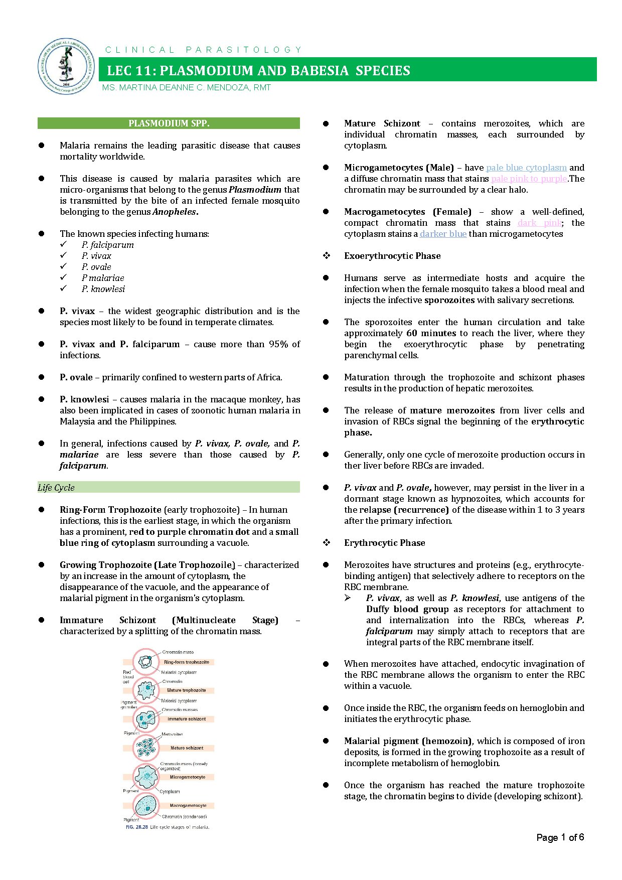 Plasmodium and Babesia Species Overview for Medtech Students