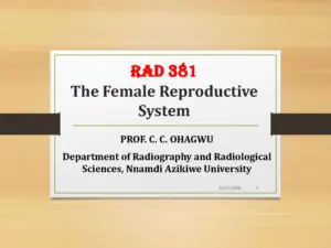 RAD 381 The Female Reproductive System
