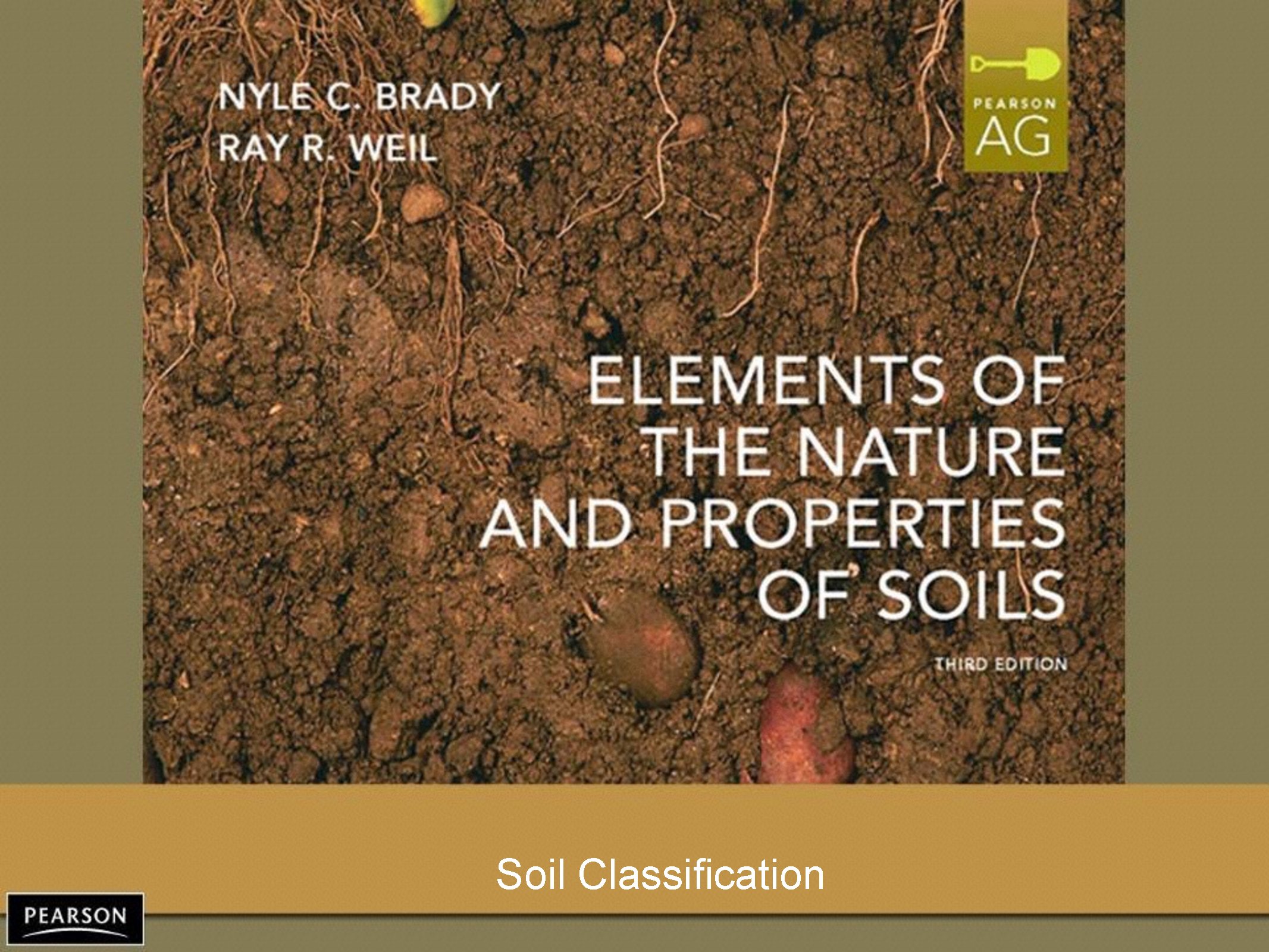 Soil Classification and Pedons Nyle C. Brady Raymond Weil