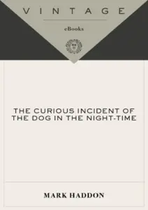 The Curious Incident of the Dog in the Night-Time