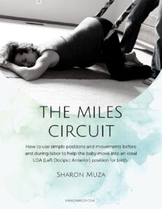 The Miles Circuit by Sharon Muza