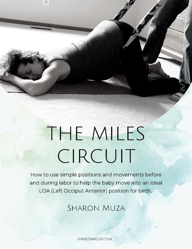 The Miles Circuit by Sharon Muza