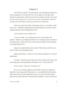 The Outsiders Chapter 4 Summary and Analysis
