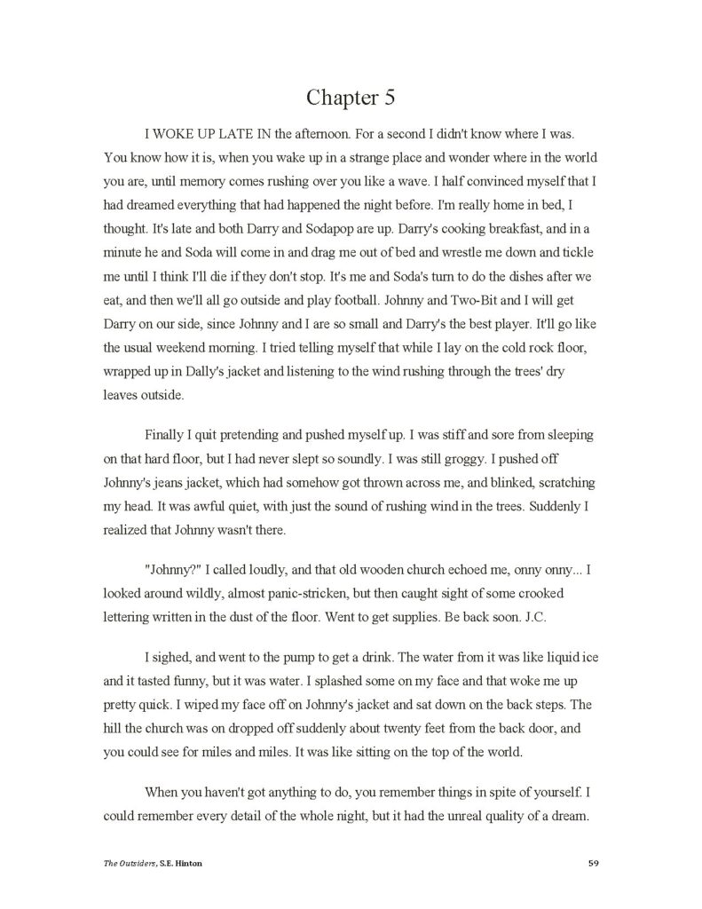 The Outsiders Chapter 5 by S.E. Hinton