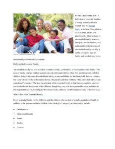 Understanding Extended Families and Their Dynamics
