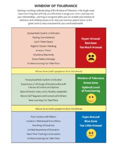 Understanding the Window of Tolerance for Emotional Regulation