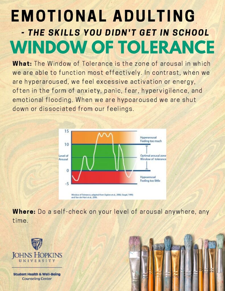 Window of Tolerance and Emotional Modulation Techniques