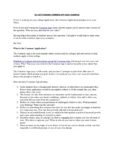 10+ Outstanding Common App Essay Examples