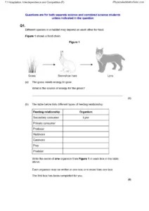 Adaptation, Interdependence and Competition – QP