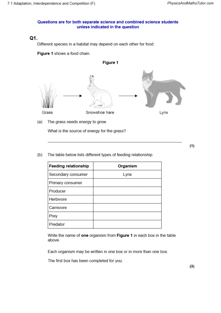 Adaptation, Interdependence and Competition - QP