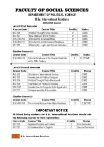 B.Sc. International Relations Level II Course Outline