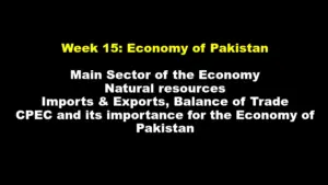 Economy of Pakistan: Overview and Key Sectors