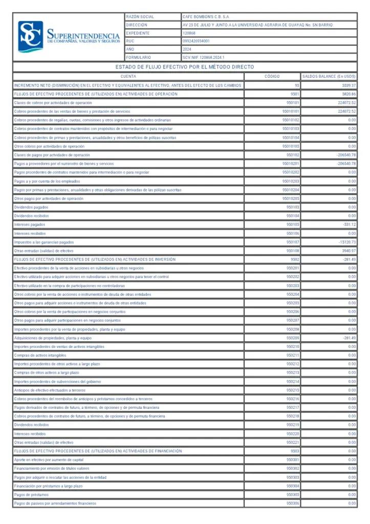 Estado De Flujos De Efectivo 2024