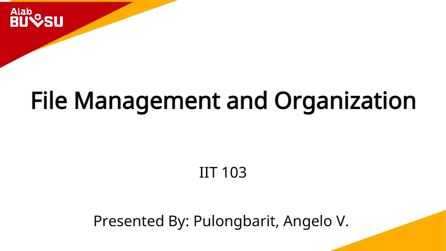 File Management and Organization - IIT 103
