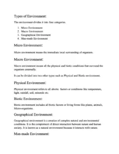 Four Types of Environment Explained