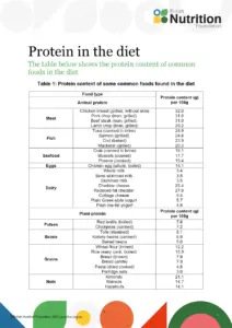 Protein in the Diet: Sources and Content